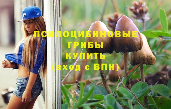 скорость Гусь-Хрустальный