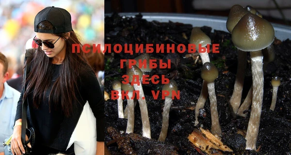 мескалин Гусиноозёрск