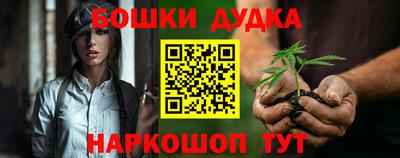 прущие крисы Новокубанск