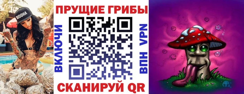 Псилоцибиновые грибы Cubensis купить наркотик Нижний Тагил