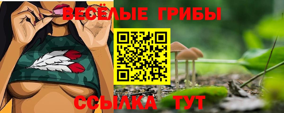 что такое наркотик  Галлюциногенные грибы мицелий  Нижний Тагил  Вход с VPN  Псилоцибиновые грибы GOLDEN TEACHER 