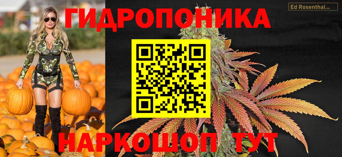 Шишки марихуана марихуана Нижний Тагил